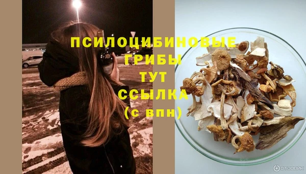 а пвп мука Заволжск