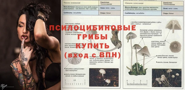 Альфа ПВП Заволжье