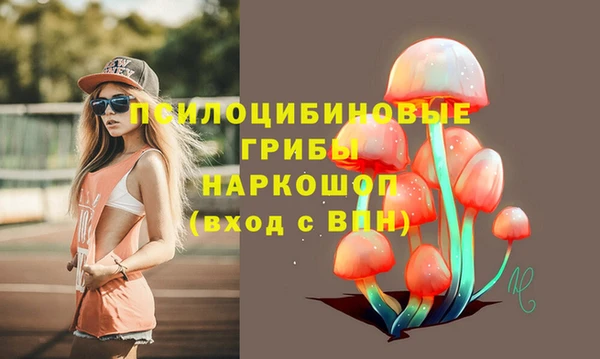 ALPHA PVP Заводоуковск